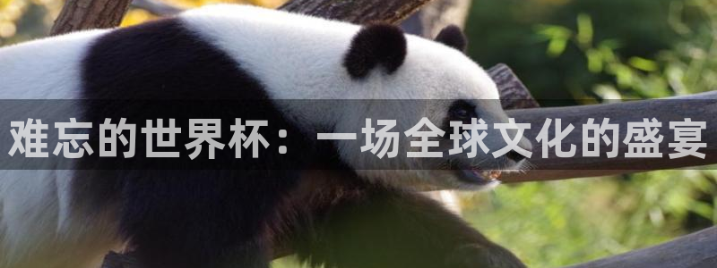 难忘的世界杯：一场全球文化的盛宴