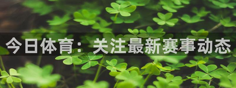 今日体育：关注最新赛事动态