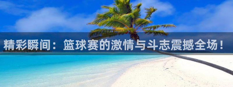 精彩瞬间：篮球赛的激情与斗志震撼全场
