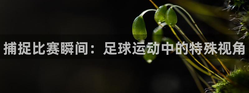 捕捉比赛瞬间：足球运动中的特殊视角