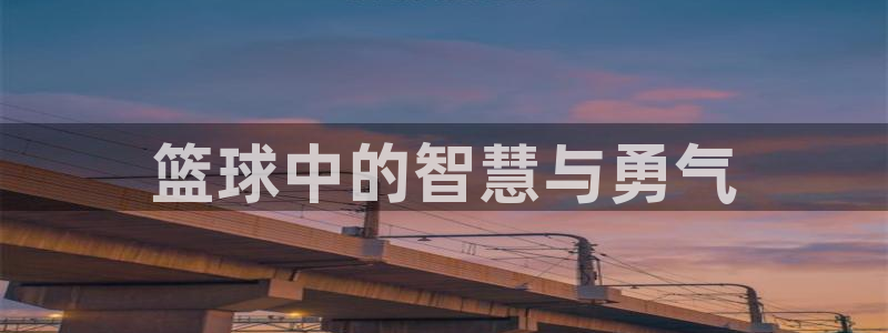  篮球中的智慧与勇气