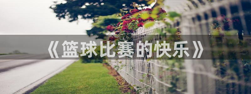  《篮球比赛的快乐》