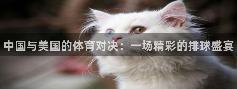中国与美国的体育对决：一场精彩的排球盛宴