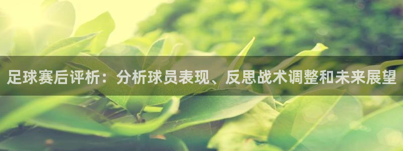 足球赛后评析：分析球员表现、反思战术调整和未来展望