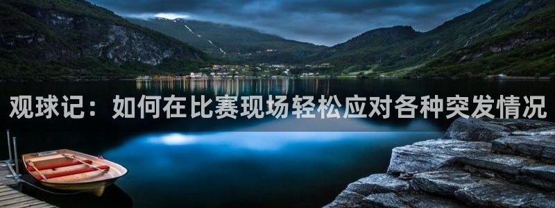  观球记：如何在比赛现场轻松应对各种突发情况