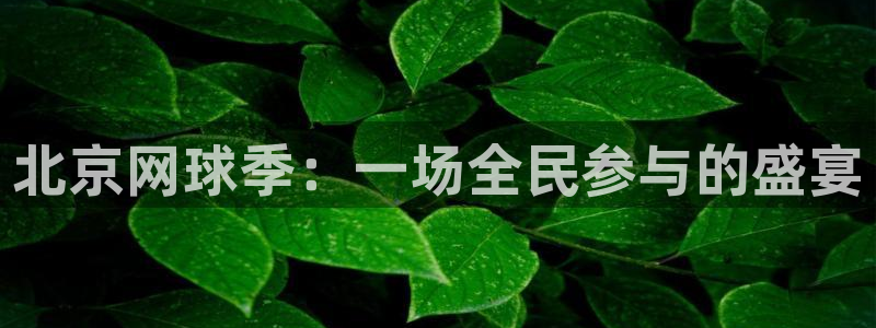 北京网球季：一场全民参与的盛宴