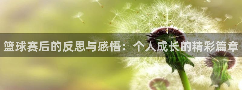 易游手游：篮球赛后的反思与感悟：个人成长的精彩篇章