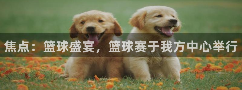  易游戏交易官网：焦点：篮球盛宴，篮球赛于我方中心举行
