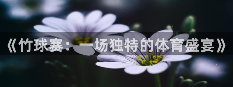 易游支付平台：《竹球赛：一场独特的体育盛宴》