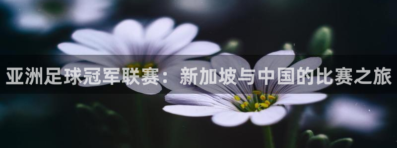  易游网手机游戏：亚洲足球冠军联赛：新加坡与中国的比赛之旅