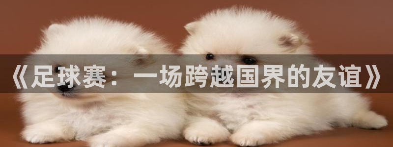 易游网游戏交易平台可信吗知乎：《足球赛：一场跨越国界的友谊》