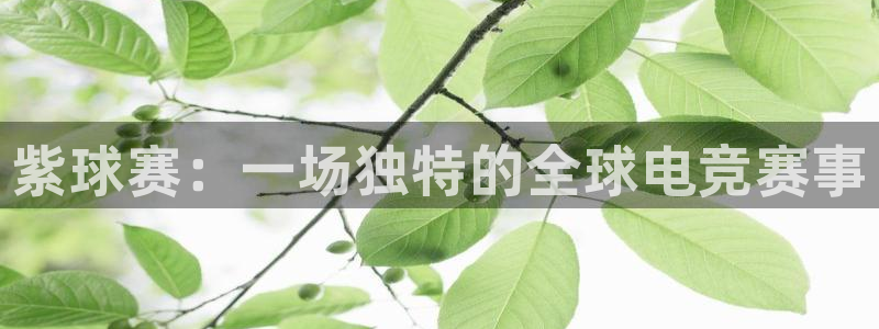  yy易游体育vip：紫球赛：一场独特的全球电竞赛事