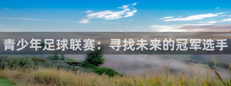  易游体育平台合法吗：青少年足球联赛：寻找未来的冠军选手