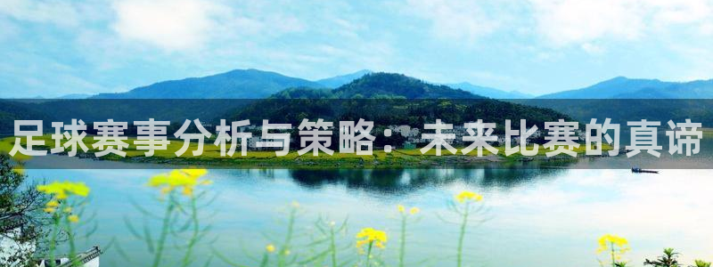 易游怎么样：足球赛事分析与策略：未来比赛的真谛