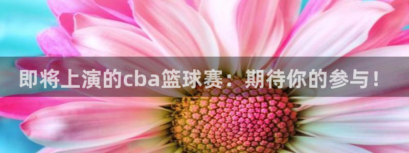  易游商城干什么的：即将上演的cba篮球赛：期待你的参与！