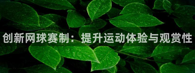 易游官网验证：创新网球赛制：提升运动体验与观赏性
