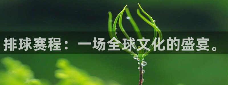 yy易游体育平台能提现吗：排球赛程：一场全球文化的盛宴。