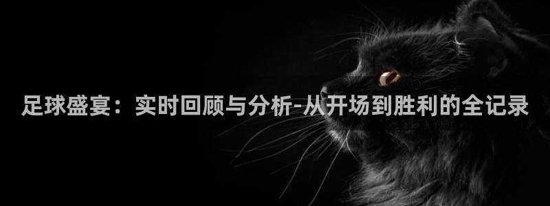  易游体育手机版下载：足球盛宴：实时回顾与分析-从开场到胜利的