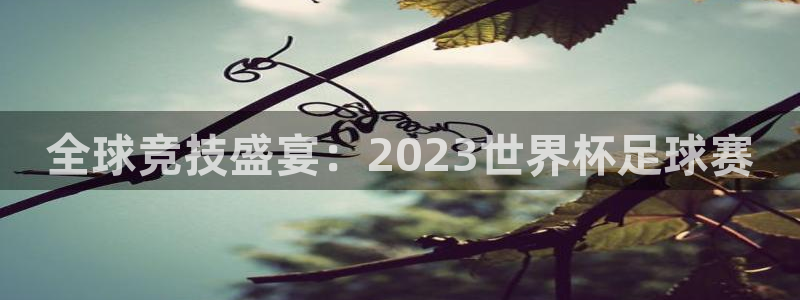 易游下载：全球竞技盛宴：2023世界杯足球赛